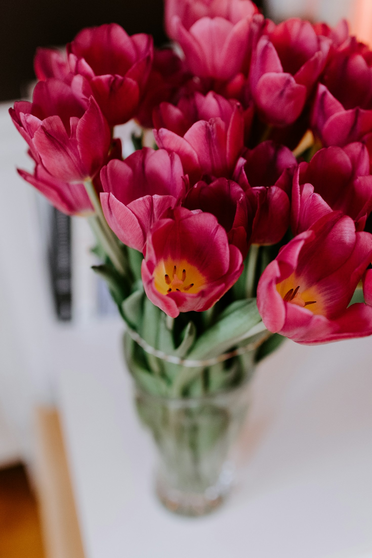 Perché scegliere fiori stagionali per la tua casa